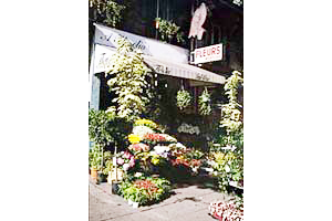 FLORELIA