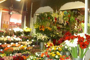 LA FOLIE DES FLEURS