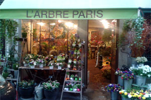 L ARBRE