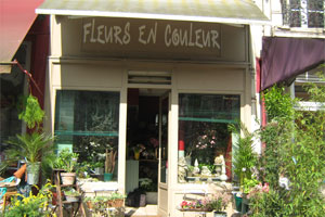 FLEURS EN COULEUR
