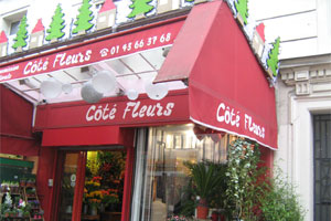 COTE FLEURS