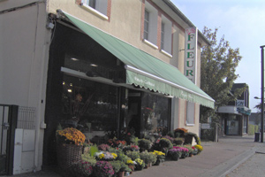 MAISON BUYSSE FLEURS