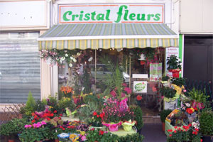 CRISTAL FLEURS