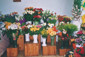 AU COIN FLEURI