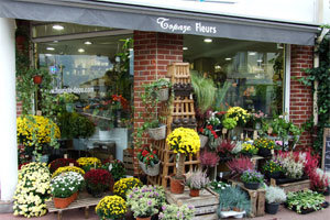 TOPAZE FLEURS