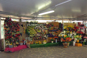 SARL VEBA FLOR