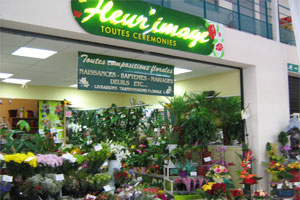 FLEUR IMAGES