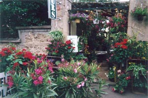 LE JARDIN FLEURI