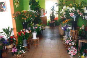 AU SALON DES FLEURS