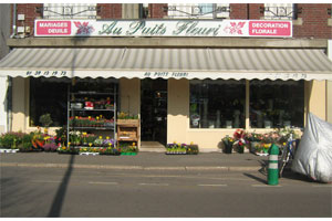 AU PUITS FLEURI