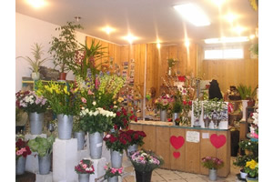 LA GRANGE AUX FLEURS