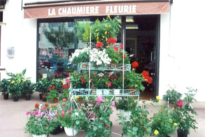 LA CHAUMIERE FLEURIE