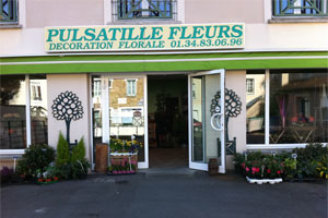PULSATILLE
