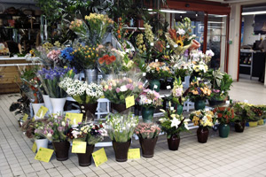 FLORDIS