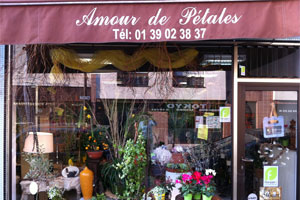 AMOUR DE PETALES