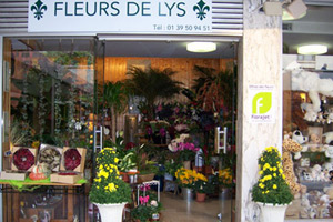 FLEURS DE LYS