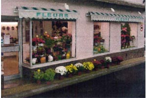 ARRIAT FLEURS