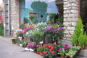 IL ETAIT UNE FLEUR...