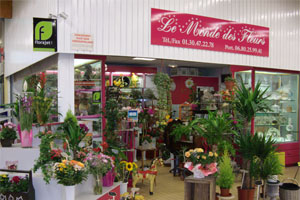 LE MONDE DES FLEURS      