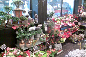 FLEURS D AMOUR        