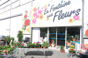 LA FONTAINE AUX FLEURS