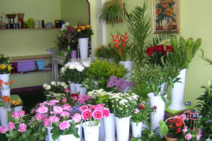 AU TEMPS DES FLEURS