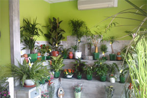 LE PARADIS DE BEVERLY