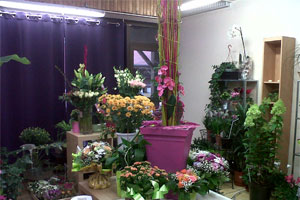 FLORALIA CREATIONS