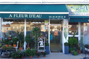 A FLEUR D EAU