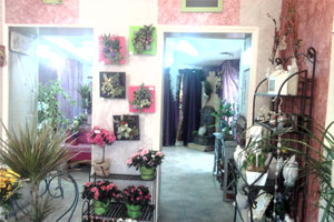 VILLA NOVA FLEURS