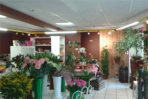 ROUGE PIVOINE