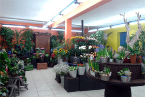 PASTEL FLEURISTE