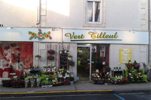 VERT TILLEUL