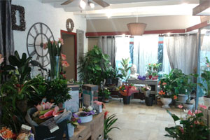 FLORILEGE