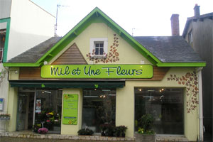 MIL ET UNE FLEURS