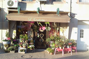 L ORCHIDEE