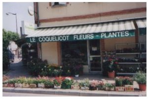 LE COQUELICOT