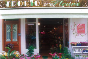 TROPIQ FLEURS
