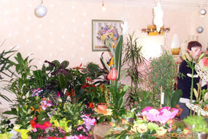 DOUCE FLEUR