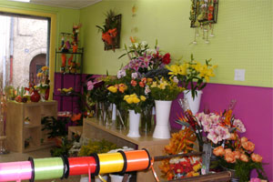 MILLE ET UNE FLEURS 