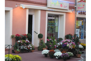 AU LUCAMARILLIS