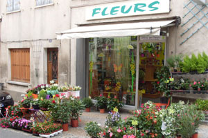  MARIE-CHRISTINE FLEURS