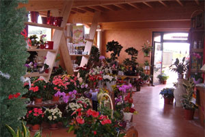LA FERME FLORALE       