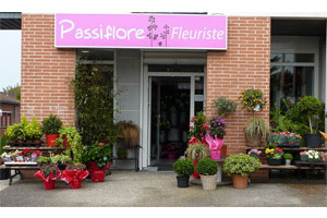 PASSIFLORE FLEURISTE     