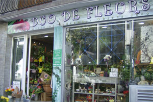 DUO DE FLEURS