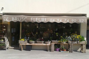 LE BRUSC FLEURI