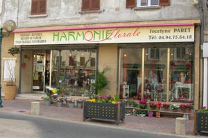 HARMONIE FLORALE