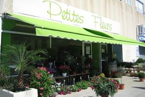 PETITES FLEURS