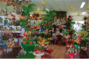 LA ROSE D OR
