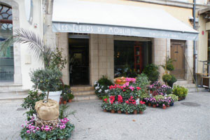 LES FLEURS DU MOULIN     